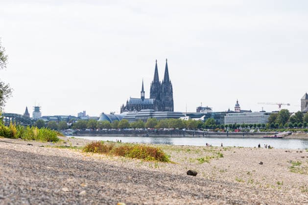 Record-Low Water Level on the Rhine: Exposed Riverbed on the Deutz Bank of the Rhine, August 16, 2026. View from the Deutz bank of the Rhine toward Cologne Cathedral, showing the riverbed exposed by the record-low water level. The water level at Cologne reached Copyright: xMarcxJohnx