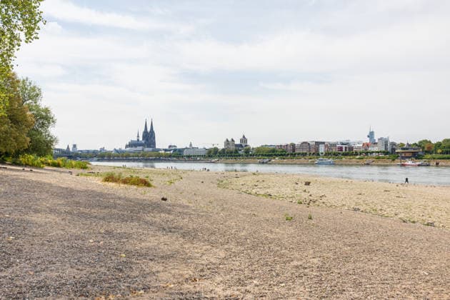 Record-Low Water Level on the Rhine: Exposed Riverbed on the Deutz Bank of the Rhine, August 16, 2026. View from the Deutz bank of the Rhine toward Cologne Cathedral, showing the riverbed exposed due to record-low water levels. The water level at Cologne reached Copyright: xMarcxJohnx