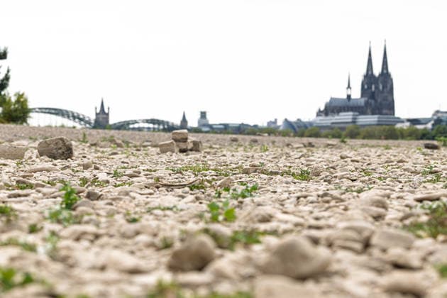 Record-Low Water Level on the Rhine: Exposed Riverbed on the Deutz Bank of the Rhine, August 16, 2026. View from the Deutz bank of the Rhine toward Cologne Cathedral, showing the riverbed exposed by the record-low water level. The water level at Cologne reached Copyright: xMarcxJohnx