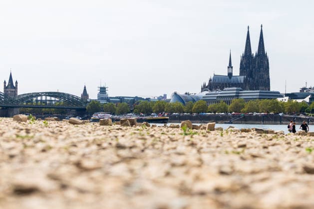 Record-Low Water Level on the Rhine: Exposed Riverbed on the Deutz Bank of the Rhine, August 16, 2026. View from the Deutz bank of the Rhine toward Cologne Cathedral, showing the riverbed exposed by historically low water levels. The Cologne water level reached Copyright: xMarcxJohnx