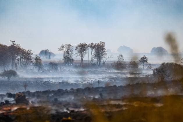 on the site of the fire in the Hautes Fagnes (High Fens) nature reserve, on Tuesday 18 August 2026. The fire started on August 14th and 3000 hectares (on a total of 4500) are impacted.  BRUNOxFAHY 183660935