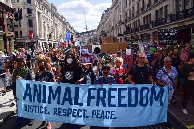 National Animal Rights March in London, UK - 22 Aug 2026 Protesters march with an Animal Freedom banner on Regent Street during the National Animal Rights March. Animal rights activists, protesters, and members of various organisations marched through Central London in support of animal rights, in protest against all forms of animal exploitation, and urged people to go vegan. London United Kingdom Copyright: xVukxValcicx xSOPAxImagesx Vuk-Valcic-1444042
