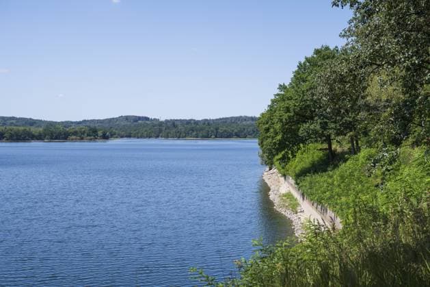 Ufer des Hevesee, Naturschutzgebiet, Möhnetalsperre, Naturpark Arnsberger Wald, Sauerland, Westfalen, Nordrhein-Westfalen, Deutschland Banks of the Hevesee, nature reserve, Möhnetalsperre, Arnsberger Wald nature park Park, Sauerland, Westphalia, North Rhine-Westphalia, Germany Copyright: imageBROKER WilfriedxWirth ibxdwh18803582.jpg