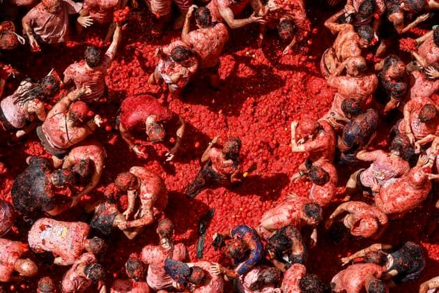 Celebration of La Tomatina in Bunol, Valencia, 2026 Several participants in the La Tomatina festival in Bunol celebrate during the event on August 26, 2026, in Bunol, Valencia, Valencian Community, Spain. La Tomatina is always held on the last Wednesday of August, as part of Bunol’s festival week, and involves participants throwing tomatoes at one another. Seven trucks were needed to transport the 150,000 kilos of tomatoes that were thrown in this unique battle, which this year celebrates its 79th anniversary. AUGUST 26, 2026 FESTIVAL TRADITION CULTURE Bunol, Valencia, Valencian Community Bunol, Valencia, Valencian Community, Spain Copyright: xRoberxSolsonax 7732787