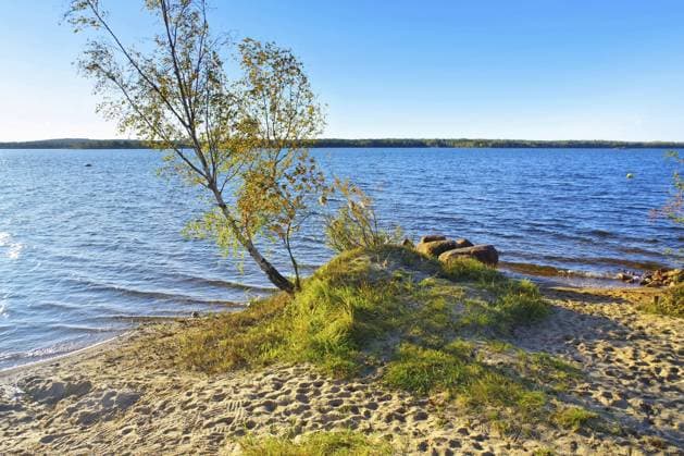 Senftenberger See Strand Buchwalde im Lausitzer Seenland - Senftenberg Lake beach Buchwalde, Lusatian Lake District Senftenberger See Strand Buchwalde in the Lusatian Lake District - Senftenberg Lake beach Buchwalde, Lusatian Lake District Copyright: imageBROKER LianexMatrisch ibxiqx18124099.jpg