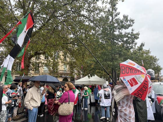 Pro-Palestinian demonstrators march through rain in Paris holding olive branches and kites PARIS, FRANCE - AUGUST 29: Demonstrators hold olive branches and kites while marching through heavy rain near Place de la Bastille in central Paris, France, on August 29, 2026. Gathering despite inclement weather, pro-Palestinian activists paraded toward the historic Fontaine des Innocents, displaying olive branches as symbols of peace and flying kites to draw international attention to the humanitarian crisis in Gaza while demanding an immediate ceasefire and the lifting of blockades. Esra Taskin Anadolu Paris France. Editorial use only. Please get in touch for any other usage. Copyright: x2026xAnadoluxEsraxTaskinx