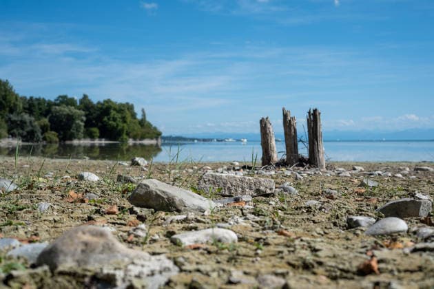 Bodensee-Waserstand so niedrig wie selten: Riesige Schlickflächen an der Insel Mainau liegen frei - Bald Wat-Touren möglich? 7aIMG: 0571389 KONSTANZ INSEL MAINAU: Historisches Niedrigwasser am Bodensee - Große Schlickflächen rund um die Blumeninsel liegen frei Der Bodensee führt in diesem Sommer außergewöhnlich wenig Wasser, und rund um die Insel Mainau bei Konstanz werden die Folgen besonders eindrucksvoll sichtbar. Aktuelle Aufnahmen vom Sonntagnachmittag (30.08.2026) zeigen großflächig trockengefallene Uferbereiche und Schlickflächen sowie die ungewöhnlich weit zurückgewichene Wasserlinie. Der Sommer 2026 hat am Bodensee bereits mehrere historische Niedrigwassermarken gebracht. Am Pegel Konstanz wurden Mitte August lediglich 275 Copyright: 7aktuell.dex xOskarxEyb 0571389 20260831_7a_BodenseeLow_571389