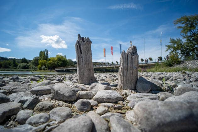 Bodensee-Waserstand so niedrig wie selten: Riesige Schlickflächen an der Insel Mainau liegen frei - Bald Wat-Touren möglich? 7aIMG: 0571390 KONSTANZ INSEL MAINAU: Historisches Niedrigwasser am Bodensee - Große Schlickflächen rund um die Blumeninsel liegen frei Der Bodensee führt in diesem Sommer außergewöhnlich wenig Wasser, und rund um die Insel Mainau bei Konstanz werden die Folgen besonders eindrucksvoll sichtbar. Aktuelle Aufnahmen vom Sonntagnachmittag (30.08.2026) zeigen großflächig trockengefallene Uferbereiche und Schlickflächen sowie die ungewöhnlich weit zurückgewichene Wasserlinie. Der Sommer 2026 hat am Bodensee bereits mehrere historische Niedrigwassermarken gebracht. Am Pegel Konstanz wurden Mitte August lediglich 275 Copyright: 7aktuell.dex xOskarxEyb 0571390 20260831_7a_BodenseeLow_571390