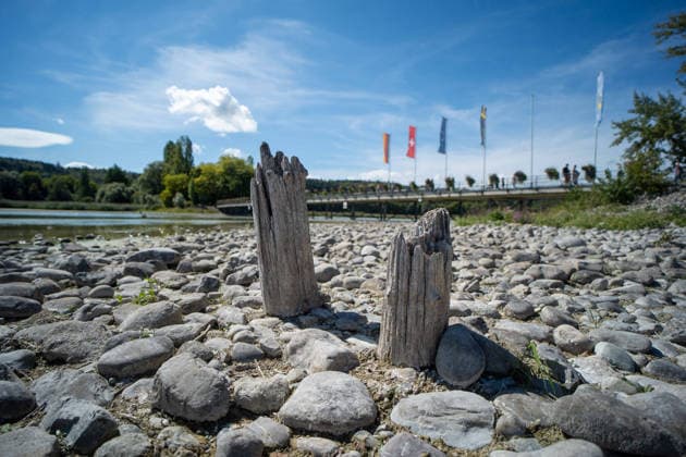 Bodensee-Waserstand so niedrig wie selten: Riesige Schlickflächen an der Insel Mainau liegen frei - Bald Wat-Touren möglich? 7aIMG: 0571391 KONSTANZ INSEL MAINAU: Historisches Niedrigwasser am Bodensee - Große Schlickflächen rund um die Blumeninsel liegen frei Der Bodensee führt in diesem Sommer außergewöhnlich wenig Wasser, und rund um die Insel Mainau bei Konstanz werden die Folgen besonders eindrucksvoll sichtbar. Aktuelle Aufnahmen vom Sonntagnachmittag (30.08.2026) zeigen großflächig trockengefallene Uferbereiche und Schlickflächen sowie die ungewöhnlich weit zurückgewichene Wasserlinie. Der Sommer 2026 hat am Bodensee bereits mehrere historische Niedrigwassermarken gebracht. Am Pegel Konstanz wurden Mitte August lediglich 275 Copyright: 7aktuell.dex xOskarxEyb 0571391 20260831_7a_BodenseeLow_571391