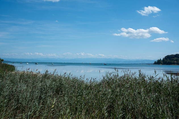 Bodensee-Waserstand so niedrig wie selten: Riesige Schlickflächen an der Insel Mainau liegen frei - Bald Wat-Touren möglich? 7aIMG: 0571394 KONSTANZ INSEL MAINAU: Historisches Niedrigwasser am Bodensee - Große Schlickflächen rund um die Blumeninsel liegen frei Der Bodensee führt in diesem Sommer außergewöhnlich wenig Wasser, und rund um die Insel Mainau bei Konstanz werden die Folgen besonders eindrucksvoll sichtbar. Aktuelle Aufnahmen vom Sonntagnachmittag (30.08.2026) zeigen großflächig trockengefallene Uferbereiche und Schlickflächen sowie die ungewöhnlich weit zurückgewichene Wasserlinie. Der Sommer 2026 hat am Bodensee bereits mehrere historische Niedrigwassermarken gebracht. Am Pegel Konstanz wurden Mitte August lediglich 275 Copyright: 7aktuell.dex xOskarxEyb 0571394 20260831_7a_BodenseeLow_571394