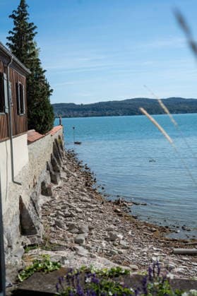 Bodensee-Waserstand so niedrig wie selten: Riesige Schlickflächen an der Insel Mainau liegen frei - Bald Wat-Touren möglich? 7aIMG: 0571395 KONSTANZ INSEL MAINAU: Historisches Niedrigwasser am Bodensee - Große Schlickflächen rund um die Blumeninsel liegen frei Der Bodensee führt in diesem Sommer außergewöhnlich wenig Wasser, und rund um die Insel Mainau bei Konstanz werden die Folgen besonders eindrucksvoll sichtbar. Aktuelle Aufnahmen vom Sonntagnachmittag (30.08.2026) zeigen großflächig trockengefallene Uferbereiche und Schlickflächen sowie die ungewöhnlich weit zurückgewichene Wasserlinie. Der Sommer 2026 hat am Bodensee bereits mehrere historische Niedrigwassermarken gebracht. Am Pegel Konstanz wurden Mitte August lediglich 275 Copyright: 7aktuell.dex xOskarxEyb 0571395 20260831_7a_BodenseeLow_571395