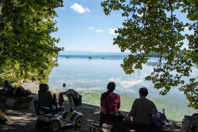 Bodensee-Waserstand so niedrig wie selten: Riesige Schlickflächen an der Insel Mainau liegen frei - Bald Wat-Touren möglich? 7aIMG: 0571398 KONSTANZ INSEL MAINAU: Historisches Niedrigwasser am Bodensee - Große Schlickflächen rund um die Blumeninsel liegen frei Der Bodensee führt in diesem Sommer außergewöhnlich wenig Wasser, und rund um die Insel Mainau bei Konstanz werden die Folgen besonders eindrucksvoll sichtbar. Aktuelle Aufnahmen vom Sonntagnachmittag (30.08.2026) zeigen großflächig trockengefallene Uferbereiche und Schlickflächen sowie die ungewöhnlich weit zurückgewichene Wasserlinie. Der Sommer 2026 hat am Bodensee bereits mehrere historische Niedrigwassermarken gebracht. Am Pegel Konstanz wurden Mitte August lediglich 275 Copyright: 7aktuell.dex xOskarxEyb 0571398 20260831_7a_BodenseeLow_571398