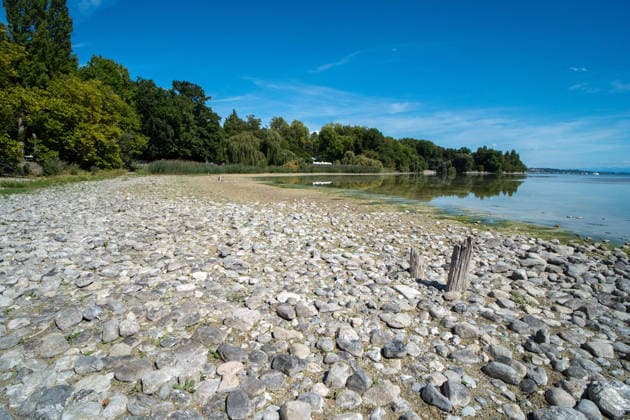 Bodensee-Waserstand so niedrig wie selten: Riesige Schlickflächen an der Insel Mainau liegen frei - Bald Wat-Touren möglich? 7aIMG: 0571402 KONSTANZ INSEL MAINAU: Historisches Niedrigwasser am Bodensee - Große Schlickflächen rund um die Blumeninsel liegen frei Der Bodensee führt in diesem Sommer außergewöhnlich wenig Wasser, und rund um die Insel Mainau bei Konstanz werden die Folgen besonders eindrucksvoll sichtbar. Aktuelle Aufnahmen vom Sonntagnachmittag (30.08.2026) zeigen großflächig trockengefallene Uferbereiche und Schlickflächen sowie die ungewöhnlich weit zurückgewichene Wasserlinie. Der Sommer 2026 hat am Bodensee bereits mehrere historische Niedrigwassermarken gebracht. Am Pegel Konstanz wurden Mitte August lediglich 275 Copyright: 7aktuell.dex xOskarxEyb 0571402 20260831_7a_BodenseeLow_571402