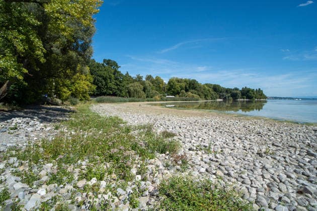 Bodensee-Waserstand so niedrig wie selten: Riesige Schlickflächen an der Insel Mainau liegen frei - Bald Wat-Touren möglich? 7aIMG: 0571404 KONSTANZ INSEL MAINAU: Historisches Niedrigwasser am Bodensee - Große Schlickflächen rund um die Blumeninsel liegen frei Der Bodensee führt in diesem Sommer außergewöhnlich wenig Wasser, und rund um die Insel Mainau bei Konstanz werden die Folgen besonders eindrucksvoll sichtbar. Aktuelle Aufnahmen vom Sonntagnachmittag (30.08.2026) zeigen großflächig trockengefallene Uferbereiche und Schlickflächen sowie die ungewöhnlich weit zurückgewichene Wasserlinie. Der Sommer 2026 hat am Bodensee bereits mehrere historische Niedrigwassermarken gebracht. Am Pegel Konstanz wurden Mitte August lediglich 275 Copyright: 7aktuell.dex xOskarxEyb 0571404 20260831_7a_BodenseeLow_571404