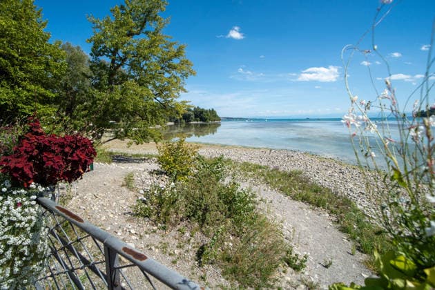 Bodensee-Waserstand so niedrig wie selten: Riesige Schlickflächen an der Insel Mainau liegen frei - Bald Wat-Touren möglich? 7aIMG: 0571406 KONSTANZ INSEL MAINAU: Historisches Niedrigwasser am Bodensee - Große Schlickflächen rund um die Blumeninsel liegen frei Der Bodensee führt in diesem Sommer außergewöhnlich wenig Wasser, und rund um die Insel Mainau bei Konstanz werden die Folgen besonders eindrucksvoll sichtbar. Aktuelle Aufnahmen vom Sonntagnachmittag (30.08.2026) zeigen großflächig trockengefallene Uferbereiche und Schlickflächen sowie die ungewöhnlich weit zurückgewichene Wasserlinie. Der Sommer 2026 hat am Bodensee bereits mehrere historische Niedrigwassermarken gebracht. Am Pegel Konstanz wurden Mitte August lediglich 275 Copyright: 7aktuell.dex xOskarxEyb 0571406 20260831_7a_BodenseeLow_571406