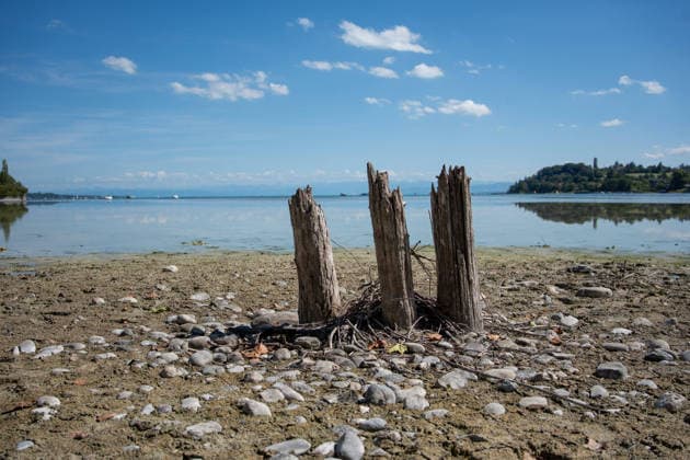 Bodensee-Waserstand so niedrig wie selten: Riesige Schlickflächen an der Insel Mainau liegen frei - Bald Wat-Touren möglich? 7aIMG: 0571407 KONSTANZ INSEL MAINAU: Historisches Niedrigwasser am Bodensee - Große Schlickflächen rund um die Blumeninsel liegen frei Der Bodensee führt in diesem Sommer außergewöhnlich wenig Wasser, und rund um die Insel Mainau bei Konstanz werden die Folgen besonders eindrucksvoll sichtbar. Aktuelle Aufnahmen vom Sonntagnachmittag (30.08.2026) zeigen großflächig trockengefallene Uferbereiche und Schlickflächen sowie die ungewöhnlich weit zurückgewichene Wasserlinie. Der Sommer 2026 hat am Bodensee bereits mehrere historische Niedrigwassermarken gebracht. Am Pegel Konstanz wurden Mitte August lediglich 275 Copyright: 7aktuell.dex xOskarxEyb 0571407 20260831_7a_BodenseeLow_571407