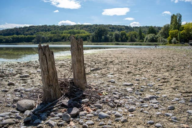 Bodensee-Waserstand so niedrig wie selten: Riesige Schlickflächen an der Insel Mainau liegen frei - Bald Wat-Touren möglich? 7aIMG: 0571408 KONSTANZ INSEL MAINAU: Historisches Niedrigwasser am Bodensee - Große Schlickflächen rund um die Blumeninsel liegen frei Der Bodensee führt in diesem Sommer außergewöhnlich wenig Wasser, und rund um die Insel Mainau bei Konstanz werden die Folgen besonders eindrucksvoll sichtbar. Aktuelle Aufnahmen vom Sonntagnachmittag (30.08.2026) zeigen großflächig trockengefallene Uferbereiche und Schlickflächen sowie die ungewöhnlich weit zurückgewichene Wasserlinie. Der Sommer 2026 hat am Bodensee bereits mehrere historische Niedrigwassermarken gebracht. Am Pegel Konstanz wurden Mitte August lediglich 275 Copyright: 7aktuell.dex xOskarxEyb 0571408 20260831_7a_BodenseeLow_571408
