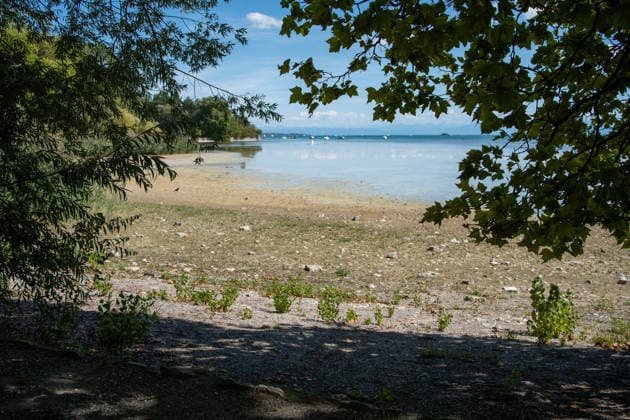 Bodensee-Waserstand so niedrig wie selten: Riesige Schlickflächen an der Insel Mainau liegen frei - Bald Wat-Touren möglich? 7aIMG: 0571409 KONSTANZ INSEL MAINAU: Historisches Niedrigwasser am Bodensee - Große Schlickflächen rund um die Blumeninsel liegen frei Der Bodensee führt in diesem Sommer außergewöhnlich wenig Wasser, und rund um die Insel Mainau bei Konstanz werden die Folgen besonders eindrucksvoll sichtbar. Aktuelle Aufnahmen vom Sonntagnachmittag (30.08.2026) zeigen großflächig trockengefallene Uferbereiche und Schlickflächen sowie die ungewöhnlich weit zurückgewichene Wasserlinie. Der Sommer 2026 hat am Bodensee bereits mehrere historische Niedrigwassermarken gebracht. Am Pegel Konstanz wurden Mitte August lediglich 275 Copyright: 7aktuell.dex xOskarxEyb 0571409 20260831_7a_BodenseeLow_571409