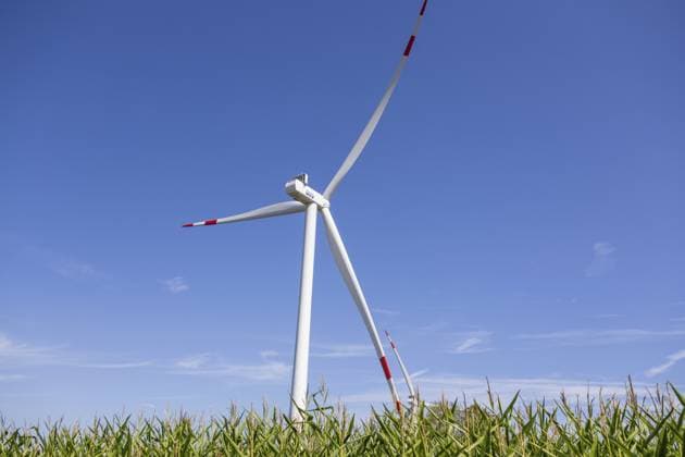 Schleswig-Holstein: Eine große Windenergieanlage ragt hinter einem Maisfeld in den blauen Himmel. Eine weitere Anlage ist im Hintergrund zu sehen. Die Rotorblätter sind an den Spitzen rot markiert. Symbolbild für Windenergie, erneuerbare Energien und Energiewende Schleswig-Holstein: A large wind turbine rises into the blue sky behind a corn field. Another plant can be seen in the background. The tips of the rotor blades are marked in red. Symbolic picture of wind energy, renewable energy and energy revolution Copyright: imageBROKER DanielxKessler ibxdlk18858437.jpg