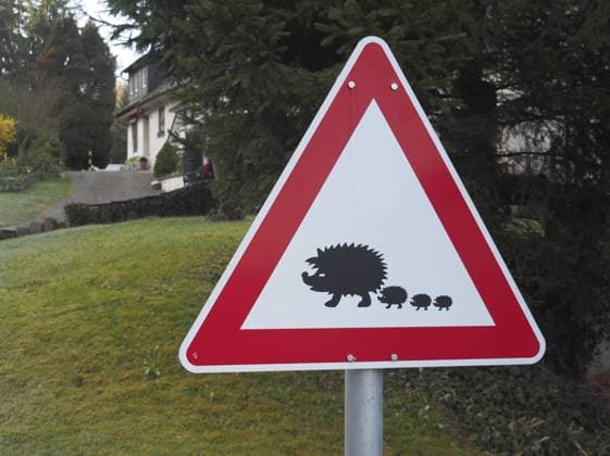 Traffic sign warns of crossing hedgehogs. Standort: Weingarten (Württemberg) Laurastraße A traffic sign warns of hedgehogs crossing the road. Location: Weingarten (Württemberg), Laurastraße Copyright: imageBROKER RudolfxBindig ibxiqx18464280.jpg