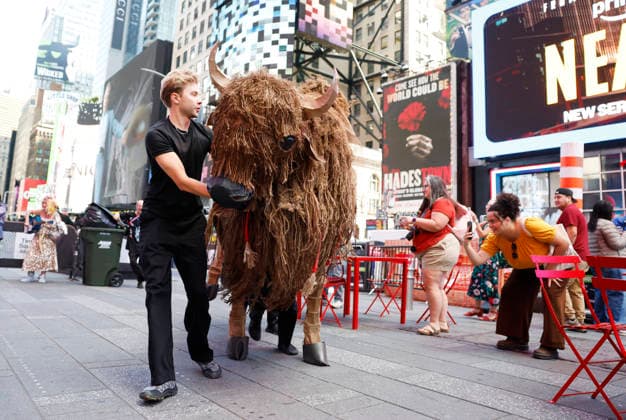 Two life-size buffalo puppets arrive in Times Square ahead of the two-day event Return of the Buffalo: Tatanka Owe Akupi on Tuesday, September 15, 2026 in New York City. The herd of 40 life-sized buffalo puppets will stampede through the streets of Lower Manhattan on September 18 and Downtown Brooklyn on September 19.  NYP20260915123 JOHNxANGELILLO