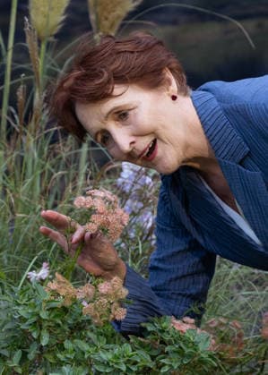 Fiona Shaw attends Sense and Sensibility World Premiere at the Odeon Luxe, Leicester Square in London, England. UK. Tuesday 15th September 2026. Copyright: xJamesxWarrenx SENSE AND SENSIBILITY - WORLD PREMIERE 29