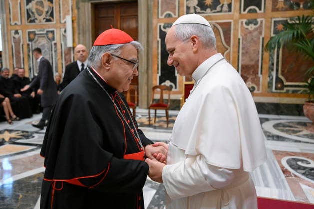PRIVATE AUDIENCE_PAPA_2026 Italy,Rome, Vatican, 2026 9 16 Pope Leo XIV receives in a private audience participants in the academic conference organized by the Congregation for the Causes of Saints at the Vatican . EDITORIAL USE ONLY - NO BOOKS Copyright: xVATICANxMEDIA xCatholicxPressxPhotox