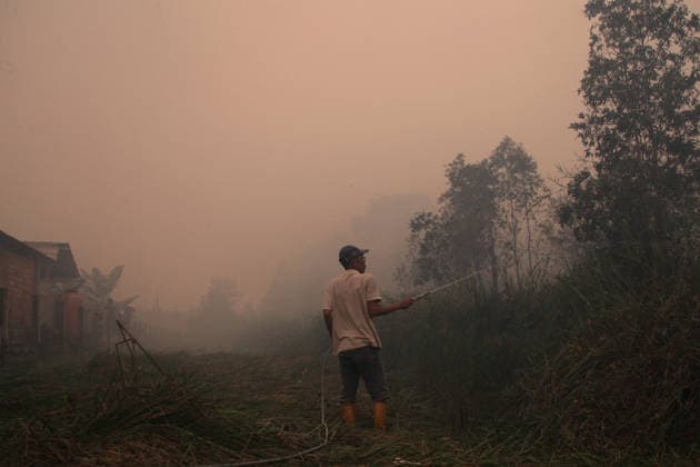 Wildfires fueled by El Nino affect Indonesia PALEMBANG, INDONESIA - SEPTEMBER 16: A man tries to extinguish a wildfire near his home in Sematang Borang district of Palembang, South Sumatra, Indonesia, on September 16, 2026. El Nino conditions are fueling wildfires across Indonesia, with around 113,336 cases of respiratory illness reported, according to health officials. Children under the age of 5 account for 26,545 cases, more than 20% of all recorded acute respiratory infection cases. Around 12.5 million people have been affected by wildfires, according to data from the Indonesian Health Ministry. Muhammad Fajri Anadolu Palembang Indonesia. Editorial use only. Please get in touch for any other usage.  Copyright: x2026xAnadoluxMuhammadxFajrix