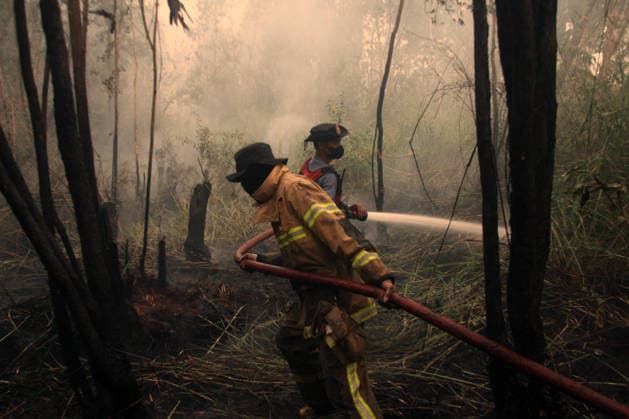 Wildfires fueled by El Nino affect Indonesia PALEMBANG, INDONESIA - SEPTEMBER 16: Indonesian firefighters try to extinguish a wildfire near resident area in Sematang Borang district of Palembang, South Sumatra, Indonesia, on September 16, 2026. El Nino conditions are fueling wildfires across Indonesia, with around 113,336 cases of respiratory illness reported, according to health officials. Children under the age of 5 account for 26,545 cases, more than 20% of all recorded acute respiratory infection cases. Around 12.5 million people have been affected by wildfires, according to data from the Indonesian Health Ministry. Muhammad Fajri Anadolu Palembang Indonesia. Editorial use only. Please get in touch for any other usage.  Copyright: x2026xAnadoluxMuhammadxFajrix