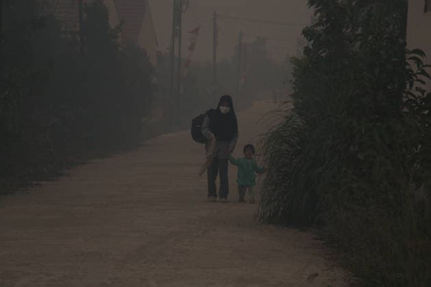Wildfires fueled by El Nino affect Indonesia PALEMBANG, INDONESIA - SEPTEMBER 16: A mother and her daughter walk through the smoke as wildfire breaks out near their house in Sematang Borang district of Palembang, South Sumatra, Indonesia, on September 16, 2026. El Nino conditions are fueling wildfires across Indonesia, with around 113,336 cases of respiratory illness reported, according to health officials. Children under the age of 5 account for 26,545 cases, more than 20% of all recorded acute respiratory infection cases. Around 12.5 million people have been affected by wildfires, according to data from the Indonesian Health Ministry. Muhammad Fajri Anadolu Palembang Indonesia. Editorial use only. Please get in touch for any other usage  Copyright: x2026xAnadoluxMuhammadxFajrix