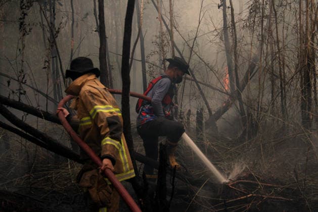 Wildfires fueled by El Nino affect Indonesia PALEMBANG, INDONESIA - SEPTEMBER 16: Indonesian firefighters try to extinguish a wildfire near resident area in Sematang Borang district of Palembang, South Sumatra, Indonesia, on September 16, 2026. El Nino conditions are fueling wildfires across Indonesia, with around 113,336 cases of respiratory illness reported, according to health officials. Children under the age of 5 account for 26,545 cases, more than 20% of all recorded acute respiratory infection cases. Around 12.5 million people have been affected by wildfires, according to data from the Indonesian Health Ministry. Muhammad Fajri Anadolu Palembang Indonesia. Editorial use only. Please get in touch for any other usage.  Copyright: x2026xAnadoluxMuhammadxFajrix