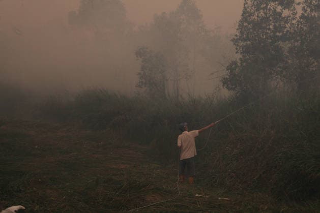 Wildfires fueled by El Nino affect Indonesia PALEMBANG, INDONESIA - SEPTEMBER 16: A man tries to extinguish a wildfire near his home in Sematang Borang district of Palembang, South Sumatra, Indonesia, on September 16, 2026. El Nino conditions are fueling wildfires across Indonesia, with around 113,336 cases of respiratory illness reported, according to health officials. Children under the age of 5 account for 26,545 cases, more than 20% of all recorded acute respiratory infection cases. Around 12.5 million people have been affected by wildfires, according to data from the Indonesian Health Ministry. Muhammad Fajri Anadolu Palembang Indonesia. Editorial use only. Please get in touch for any other usage.  Copyright: x2026xAnadoluxMuhammadxFajrix