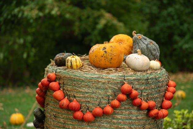 Pumpkins are displayed on a bale of straw during the pumpkin exhibition at Blühendes Barock in Ludwigsburg, Ludwigsburg, Baden-Württemberg, Germany