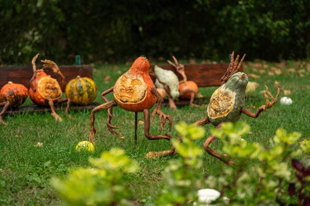 Sculptures carved from pumpkins are on display during the pumpkin exhibition at Blühendes Barock in Ludwigsburg, Ludwigsburg, Baden-Württemberg, Germany