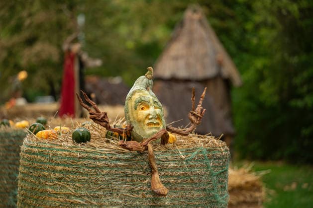 A sculpture carved from a pumpkin is on display during the pumpkin exhibition at Blühendes Barock in Ludwigsburg, Ludwigsburg, Baden-Württemberg, Germany