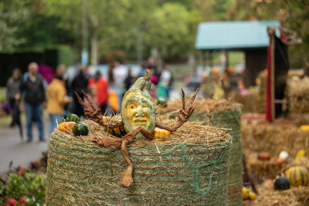 A sculpture carved from a pumpkin is on display during the pumpkin exhibition at Blühendes Barock in Ludwigsburg, Ludwigsburg, Baden-Württemberg, Germany