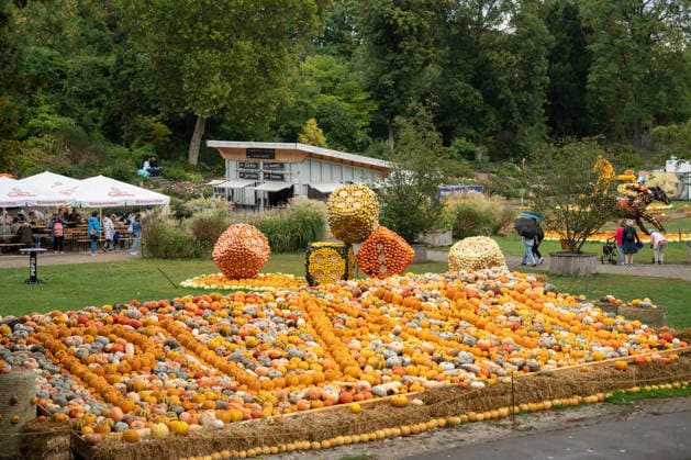 Numerous pumpkins are on display during the pumpkin exhibition at Blühendes Barock in Ludwigsburg, Ludwigsburg, Baden-Württemberg, Germany