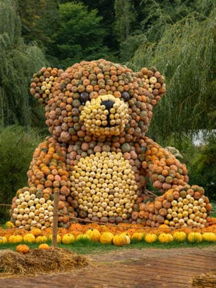A sculpture of a Tennybear made from pumpkins is on display during the pumpkin exhibition at Blühendes Barock in Ludwigsburg, Ludwigsburg, Baden-Württemberg, Germany