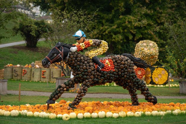 A sculpture of a horseman made of pumpkins is on display during the pumpkin exhibition at Blühendes Barock in Ludwigsburg, Ludwigsburg, Baden-Württemberg, Germany