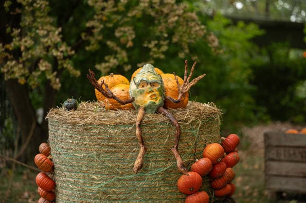 A sculpture carved from a pumpkin is on display during the pumpkin exhibition at Blühendes Barock in Ludwigsburg, Ludwigsburg, Baden-Württemberg, Germany