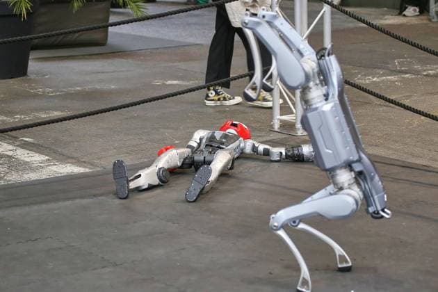 Berlin, Germany, September 16, 2026: BIG BANG KI Festival—AI robots in a boxing match to entertain visitors Copyright: xdtsxNachrichtenagenturx dts_134946