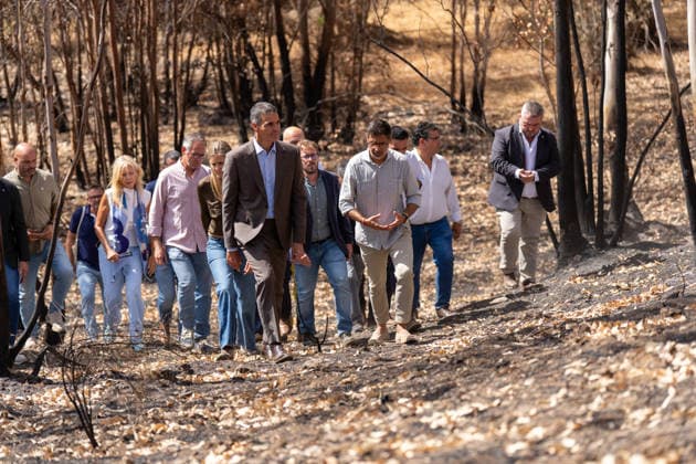 Pedro Sánchez Meets in Niebla with the Mayors of the Municipalities Affected by the Fire. Prime Minister Pedro Sánchez 1i visits the area devastated by this summer’s fire. September 17, 20226, in Niebla, Huelva, Andalusia, Spain. On Thursday, Spanish Prime Minister Pedro Sánchez called for action to address the causes of the Niebla fire—the largest in the country’s history—which, in his view, starkly revealed the consequences of a climate emergency, and for that reason, he has called for building, through a public-private partnership, a stronger and more prosperous country. SEPTEMBER 17, 2026 Francisco J Niebla, Huelva, Andalusia, Spain Niebla, Huelva, Andalusia, Spain Spain  Copyright: xFranciscoxJ.xOlmox 7781609
