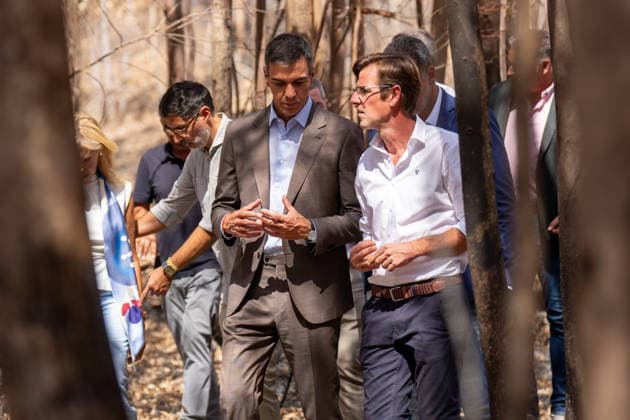 Pedro Sánchez Meets in Niebla with the Mayors of the Municipalities Affected by the Fire. Prime Minister Pedro Sánchez visits the area devastated by this summer’s fire. September 17, 20226, in Niebla, Huelva, Andalusia, Spain. On Thursday, Spanish Prime Minister Pedro Sánchez called for action to address the causes of the Niebla fire—the largest wildfire in the country’s history—which, in his view, starkly revealed the consequences of a climate emergency, and for that reason, he has called for the creation, through a public-private partnership, of a stronger and more prosperous country. SEPTEMBER 17, 2026 Francisco J Niebla, Huelva, Andalusia, Spain Niebla, Huelva, Andalusia, Spain Spain  Copyright: xFranciscoxJ.xOlmox 7781615
