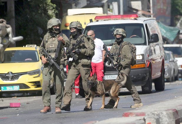 September 17, 2026, Nablus, Palestine: Israeli soldiers lead a police dog during an Israeli military operation targeting residents of the Al-Ain refugee camp, west of Nablus in the West Bank, to search for combat materials. Residents reported that the army raided and searched homes and arrested five people, and some people were injured after being severely beaten. Nablus Palestine  - ZUMAs197 20260917_aaa_s197_043 Copyright: xNasserxishatyehx