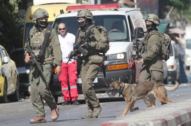 September 17, 2026, Nablus, Palestine: Israeli soldiers lead a police dog during an Israeli military operation targeting residents of the Al-Ain refugee camp, west of Nablus in the West Bank, to search for combat materials. Residents reported that the army raided and searched homes and arrested five people, and some people were injured after being severely beaten. Nablus Palestine - ZUMAs197 20260917_aaa_s197_059 Copyright: xNasserxishatyehx