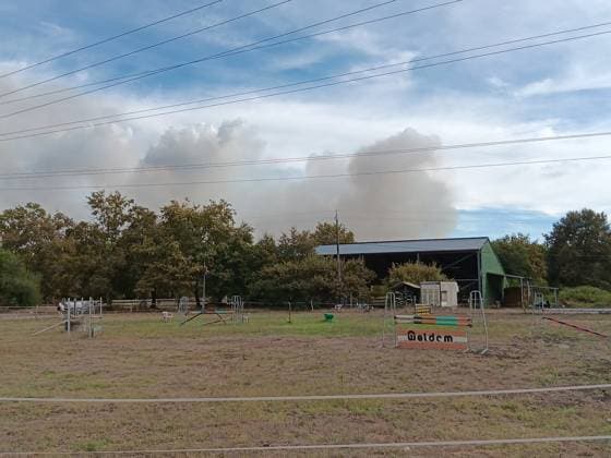Wildfire in The Landes Region - France The flames continue to burn the Landes forest. A wildfire broke out Thursday, September 17, around 2:15 p.m. south of Saint-Paul-en-Born in France’s Landes region. By 6 p.m., 70 hectares of forest had burned near the airfield. Around 150 firefighters, supported by nine aircraft, are battling the blaze. No homes are threatened, but two solar farms are at risk. September 17, 2026. Photo by First Eye ABACAPRESS.COM France  Copyright: xFirstxEye ABACAx