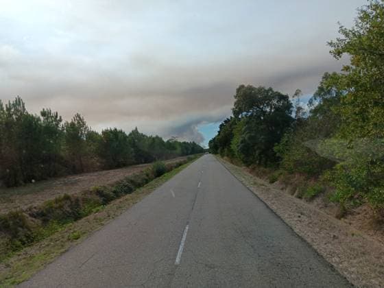 Wildfire in The Landes Region - France The flames continue to burn the Landes forest. A wildfire broke out Thursday, September 17, around 2:15 p.m. south of Saint-Paul-en-Born in France’s Landes region. By 6 p.m., 70 hectares of forest had burned near the airfield. Around 150 firefighters, supported by nine aircraft, are battling the blaze. No homes are threatened, but two solar farms are at risk. September 17, 2026. Photo by First Eye ABACAPRESS.COM France  Copyright: xFirstxEye ABACAx