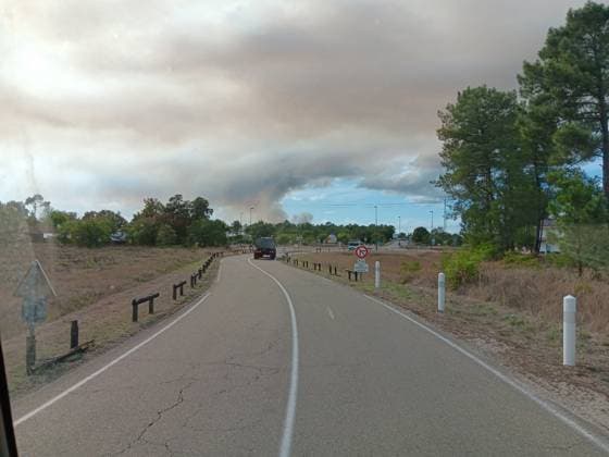 Wildfire in The Landes Region - France The flames continue to burn the Landes forest. A wildfire broke out Thursday, September 17, around 2:15 p.m. south of Saint-Paul-en-Born in France’s Landes region. By 6 p.m., 70 hectares of forest had burned near the airfield. Around 150 firefighters, supported by nine aircraft, are battling the blaze. No homes are threatened, but two solar farms are at risk. September 17, 2026. Photo by First Eye ABACAPRESS.COM France  Copyright: xFirstxEye ABACAx