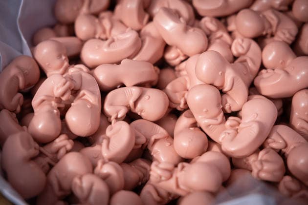 On Saturday, September 19, 2026, numerous anti-abortion activists participated in a March for Life organized by the Federal Association for the Right to Life in Berlin. Plastic embryo models. The Federal Association for the Right to Life is demonstrating against abortion and assisted suicide. Accordi Copyright: epd-bild HansxScherhaufer epd-Marsch_fuers_Leben9-kopieren