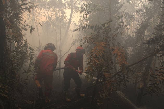 Wildfires continue to spread in Indonesia s South Sumatra PALEMBANG, INDONESIA - SEPTEMBER 19: Indonesian firefighters from Manggala Agni try to extinguish wildfires near resident area at Talang Jambe district in Palembang, South Sumatera, Indonesia on September 19, 2026. The area affected by wildfires in South Sumatra has now become the largest in Indonesia. The Indonesian government has stepped up firefighting efforts by deploying more than 50 aircraft to water bombing on fires and conducting weather modification operations to induce rain. Japan also sent three CH-47 Chinook helicopters and 180 personnel last week to assist with firefighting. Muhammad Fajri Anadolu Palembang Indonesia. Editorial use only. Please get in touch for any oth  Copyright: x2026xAnadoluxMuhammadxFajrix
